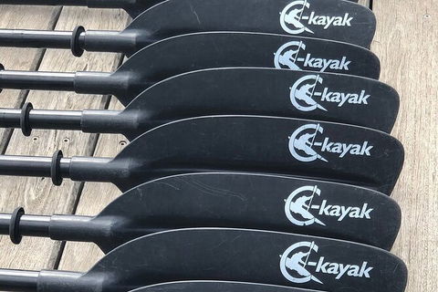 Melbourne City Sights Kayak Tour - Darwin Holiday 7