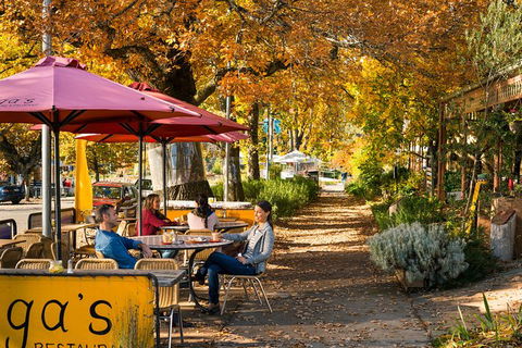 Lake Mountain Snow Trip Including Yarra Valley Chocolaterie From Melbourne - Darwin Holiday 12