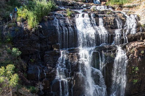 Melbourne To Adelaide South East Coast 3 Day Overland Tour - Darwin Holiday 6