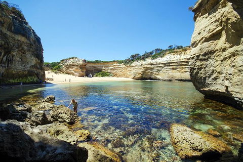 Small-Group Great Ocean Road And 12 Apostles Full-Day Tour From Melbourne - Darwin Holiday 6