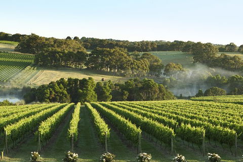 Mornington Peninsula Farm Produce Wine And Cider Tour - Darwin Holiday 8