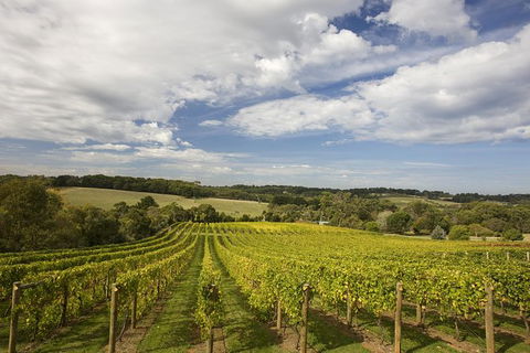 Mornington Peninsula Farm Produce Wine And Cider Tour - Darwin Holiday 3