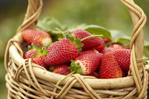 Mornington Peninsula Farm Produce Wine And Cider Tour - Darwin Holiday 9