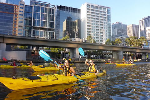 Melbourne City Twilight Kayak Tour - Darwin Holiday 1