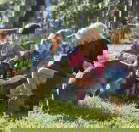 Australian Wildlife Experience at Healesville Sanctuary - Darwin Holiday