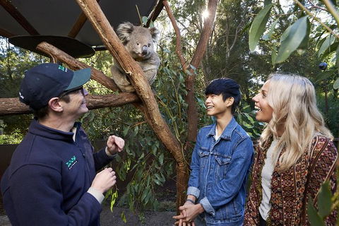Australian Wildlife Experience At Healesville Sanctuary - Darwin Holiday 1