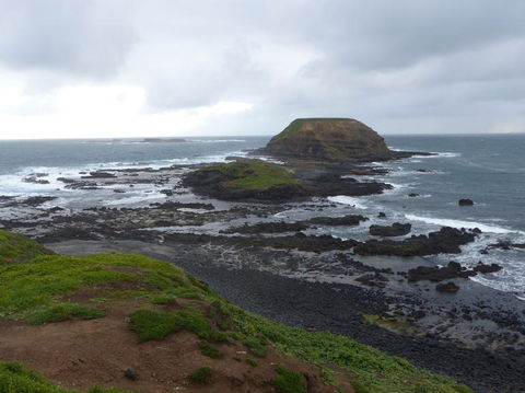Phillip Island Penguin, Brighton Beach, Moonlit Sanctuary From Melbourne - Darwin Holiday 16