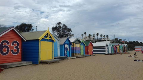 Phillip Island Penguin, Brighton Beach, Moonlit Sanctuary From Melbourne - Darwin Holiday 3