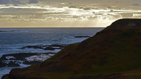 Phillip Island Penguin, Brighton Beach, Moonlit Sanctuary From Melbourne - Darwin Holiday 12