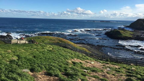 Phillip Island Penguin, Brighton Beach, Moonlit Sanctuary From Melbourne - Darwin Holiday 5