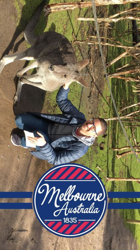 Phillip Island Penguin, Brighton Beach, Moonlit Sanctuary From Melbourne - Darwin Holiday 9