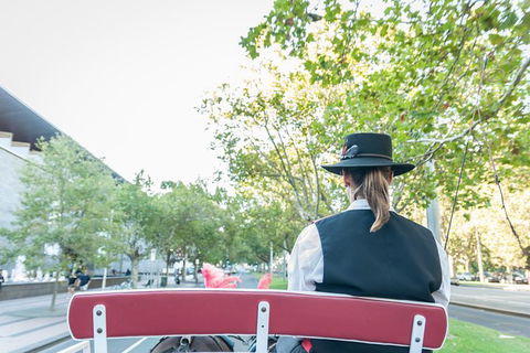 Melbourne Horse Drawn Carriage Premium Garden And City Tourâ„¢ - Darwin Holiday 1