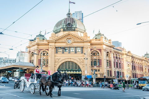 Melbourne Horse Drawn Carriage Premium Garden And City Tourâ„¢ - Darwin Holiday 0