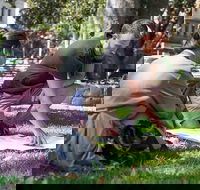 Sustainable Melbourne Tour - Darwin Holiday