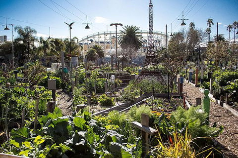 Sustainable Melbourne Tour - Darwin Holiday 1