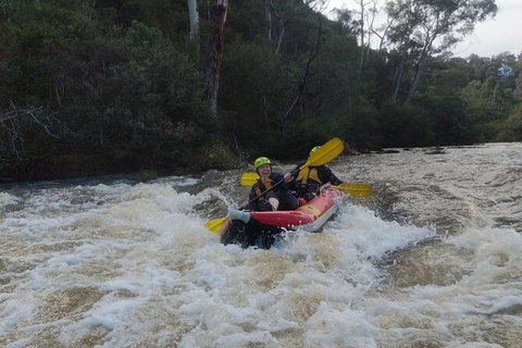 White-Water Kayaking On The Yarra River - Darwin Holiday 5