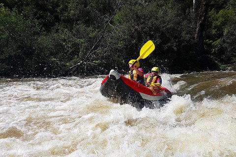 White-Water Kayaking On The Yarra River - Darwin Holiday 6