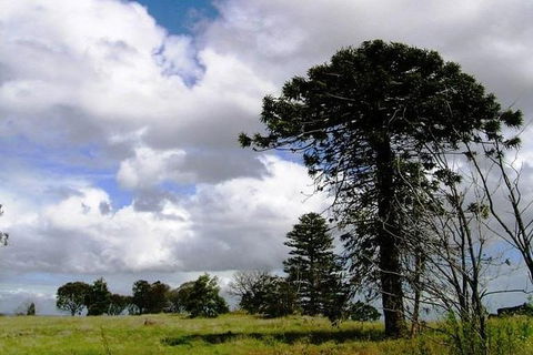 Walking Tours Of Woodlands Historic Park - Darwin Holiday 0