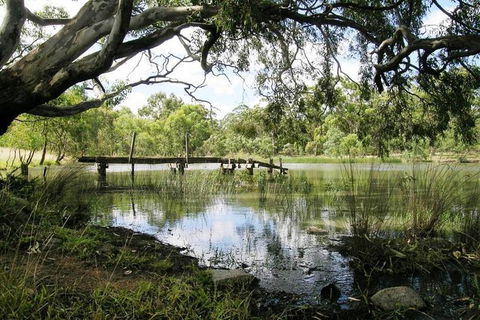 Walking Tours Of Woodlands Historic Park - Darwin Holiday 1