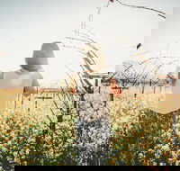 Yarra Valley Rainforest Hike and Winery Tour - Darwin Holiday