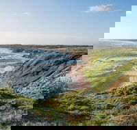 Phillip Island Hike and Aussie Wildlife Adventure - Darwin Holiday