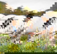 7-Day Victoria's Hidden Gems Journey from Melbourne - Darwin Holiday