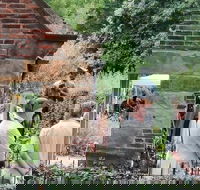 Melbourne Shore Excursion Private City Tour - Darwin Holiday