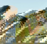 Yarra Valley Wine Tour with Local Harvest Tastings from Melbourne - Darwin Holiday