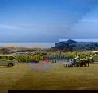 Private Mornington Peninsula Indulgence Tour Including Peninsula Hot Springs and Lunch at Max's at Red Hill Estate - Darwin Holiday