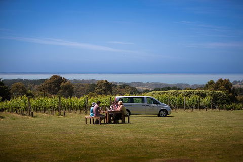 Private Mornington Peninsula Indulgence Tour Including Peninsula Hot Springs And Lunch At Max's At Red Hill Estate - Darwin Holiday 0