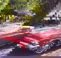 Yarra Valley Wine and Cider Tours by Classic Convertibles from Melbourne - Darwin Holiday