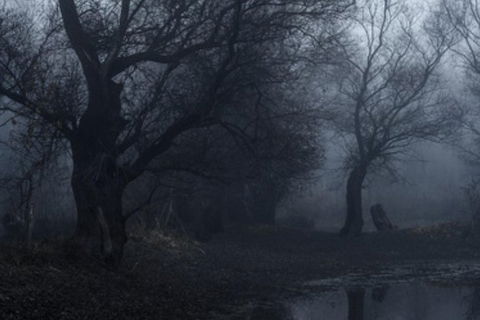 Eynesbury Homestead Dinner And Ghost Tour - Darwin Holiday 1