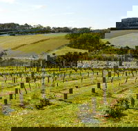 Mornington Peninsula Small-Group Wine Tour with Lunch and Morning Tea - Darwin Holiday