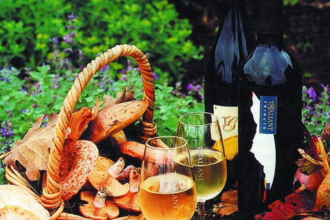 Mornington Peninsula Small-Group Wine Tour With Lunch And Morning Tea - Darwin Holiday 5