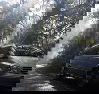 Shore Excursion-Healesville-Sanctuary-Private-Group- Max 7 PAX -Yarra Valley - Darwin Holiday