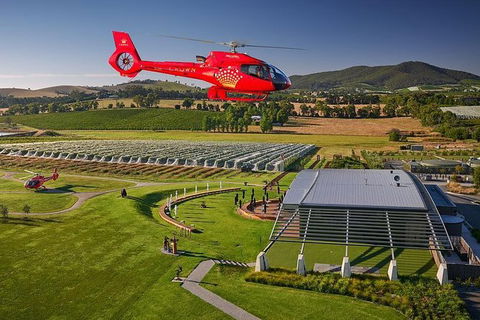 Yarra Valley Wine & Wildlife - Private Regional Tour - Darwin Holiday 6