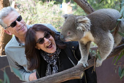 Yarra Valley Wine & Wildlife - Private Regional Tour - Darwin Holiday 3