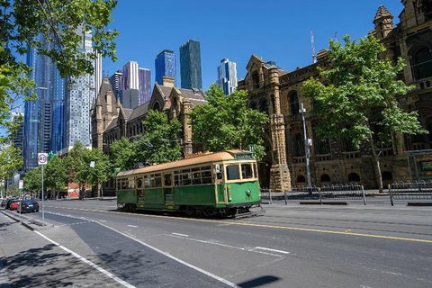 Best Of Melbourne Private Tour With Photos - Darwin Holiday 1