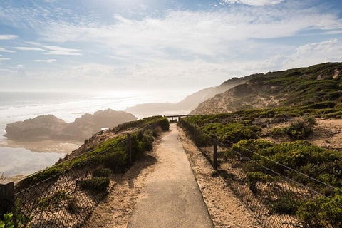 Melbourne Super Saver: Great Ocean Road + Mornington Peninsula + Attraction Pass - Darwin Holiday 7