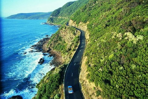 Melbourne Super Saver: Great Ocean Road + Mornington Peninsula + Attraction Pass - Darwin Holiday 6