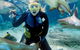 Shark Dive Experience At SEA LIFE Melbourne Aquarium - thumb 7
