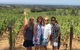 Mornington Peninsula Winery Bus Tour Including Lunch With A Glass Of Wine - thumb 6