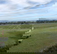 Small Public Mornington Peninsula Winery Tour plus lunch with a glass of wine - Darwin Holiday