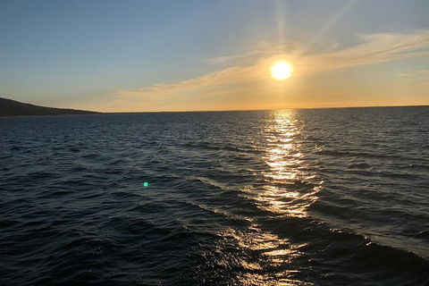 Small Public Group Car Mornington Peninsula Scenic Tour Inc Chairlift, Lunch - Darwin Holiday 1