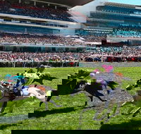 Cultural Melbourne City Tour - Darwin Holiday