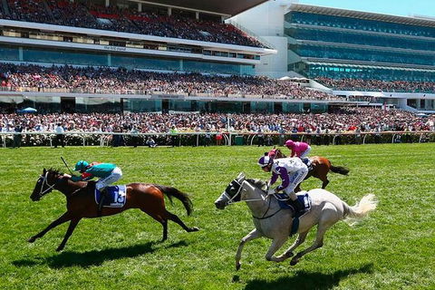 Cultural Melbourne City Tour - Darwin Holiday 0