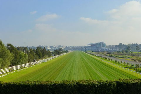 Cultural Melbourne City Tour - Darwin Holiday 5