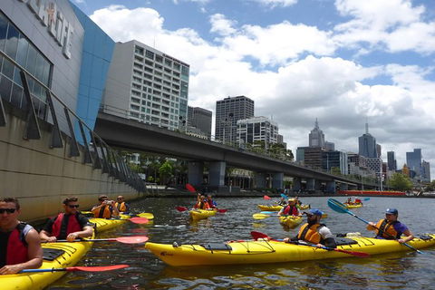 Melbourne City Afternoon Kayak Tour - Darwin Holiday 3