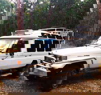 Private Tour Wombat State Forest Wildlife Safari 4WD Tour from Melbourne - Darwin Holiday