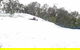 Mt Buller Day Trip From Melbourne - thumb 4